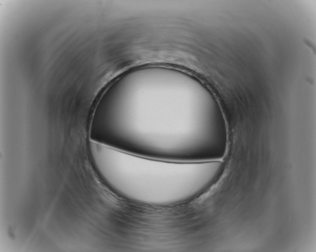 X0000096161505200801180840
