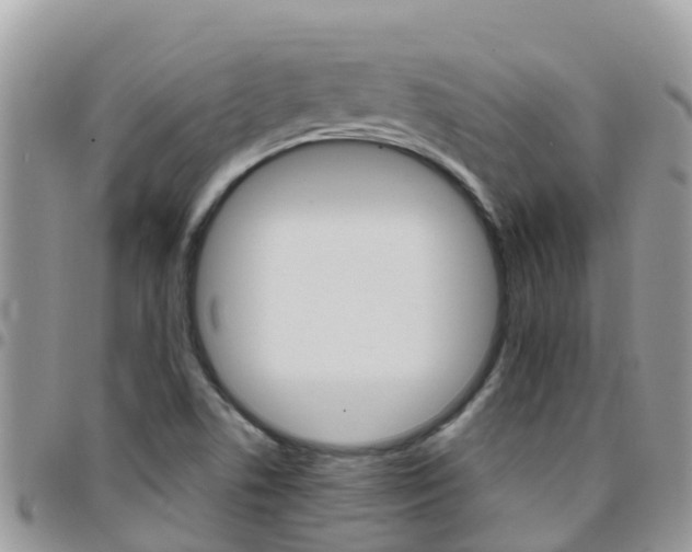 X0000096161506200801180840