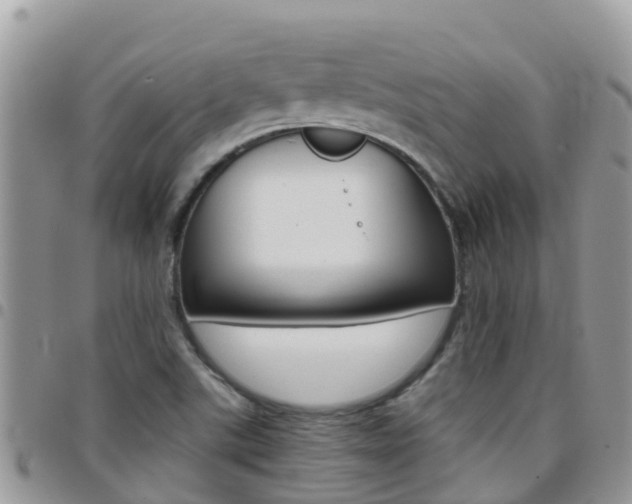 X0000096161507200801180840