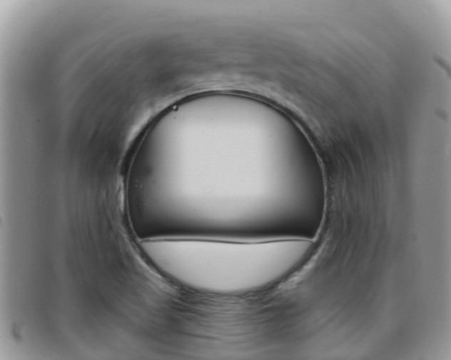X0000096161509200801180840