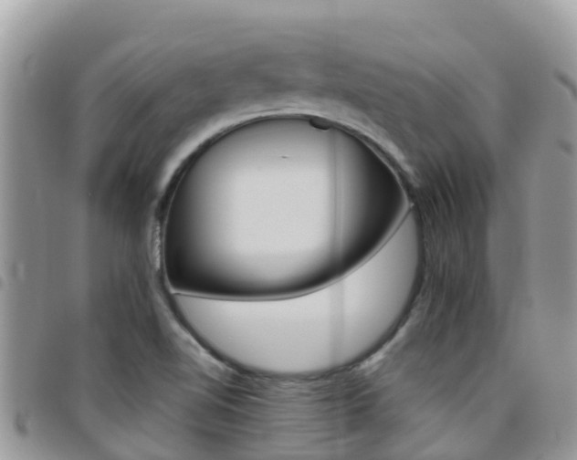X0000096161510200801180840
