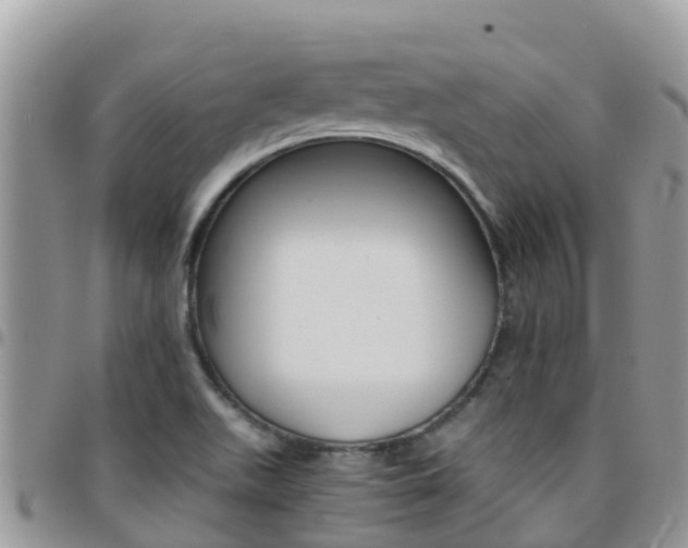 X0000096161511200801180840