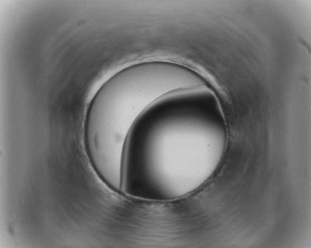 X0000096161512200801180840