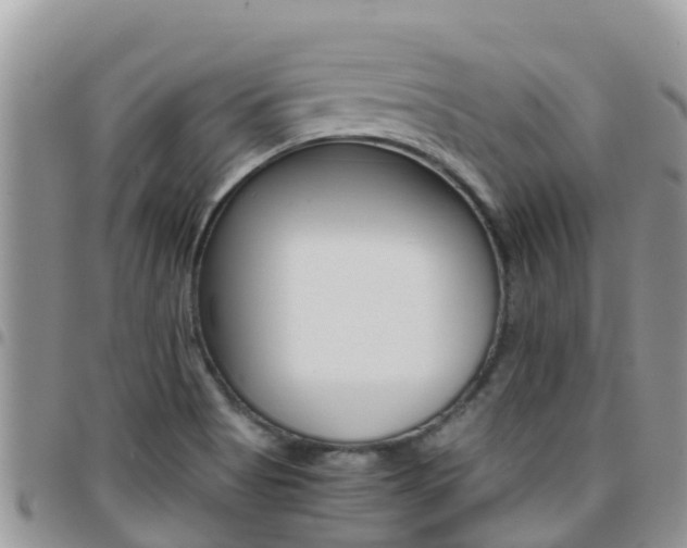 X0000096161513200801180840