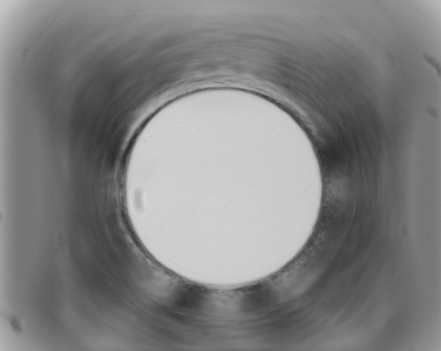 X0000096161514200801180840