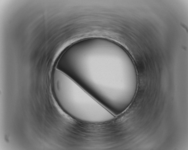 X0000096161515200801180840