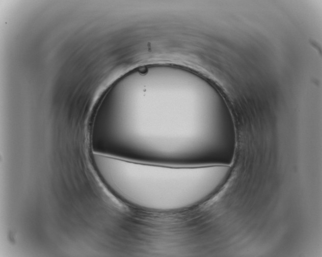 X0000096161517200801180840