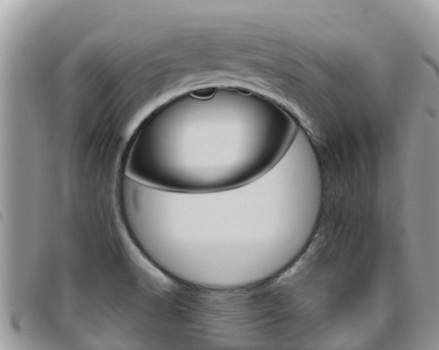 X0000096161518200801180840
