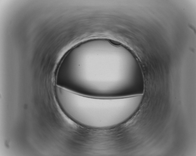 X0000096161519200801180840