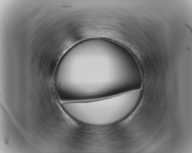 X0000096161521200801180840