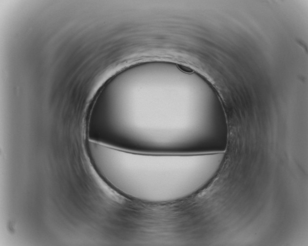 X0000096161523200801180840