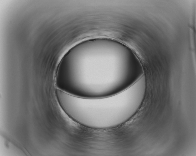 X0000096161524200801180840