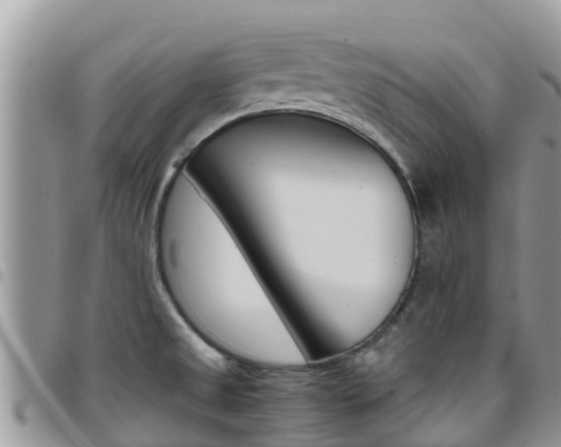 X0000096161525200801180840