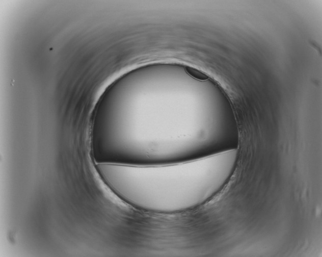 X0000096161526200801180840