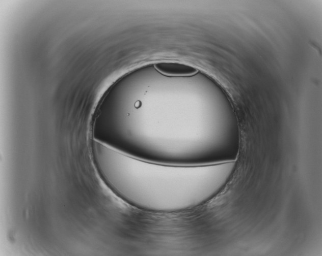 X0000096161527200801180840