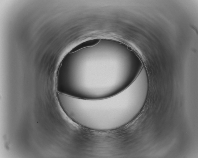 X0000096161528200801180840