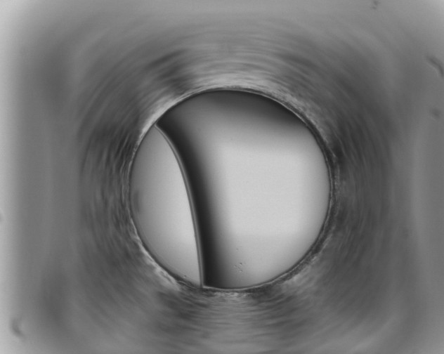 X0000096161529200801180840