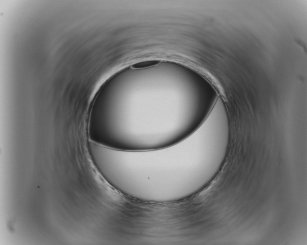X0000096161530200801180840