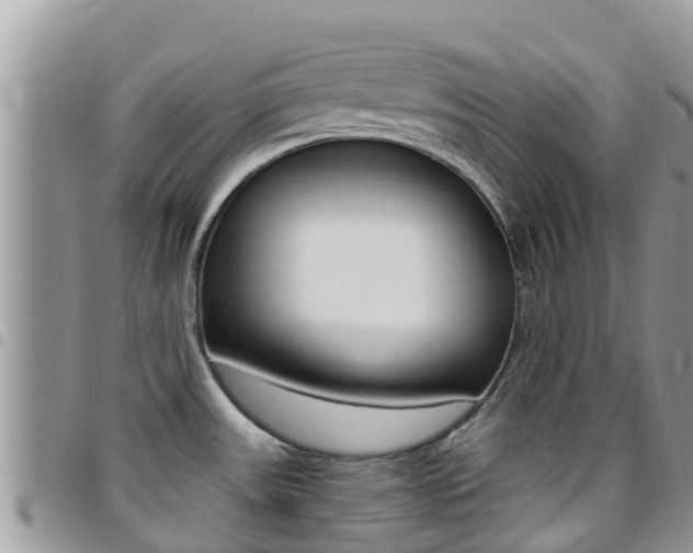X0000096161531200801180840