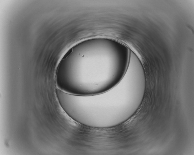 X0000096161532200801180840