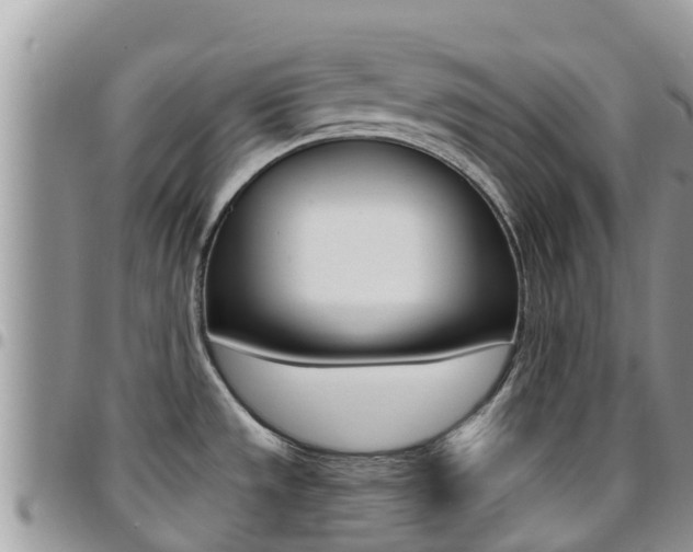 X0000096161533200801180840