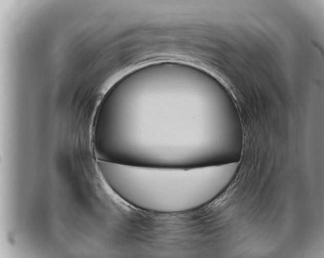 X0000096161535200801180840