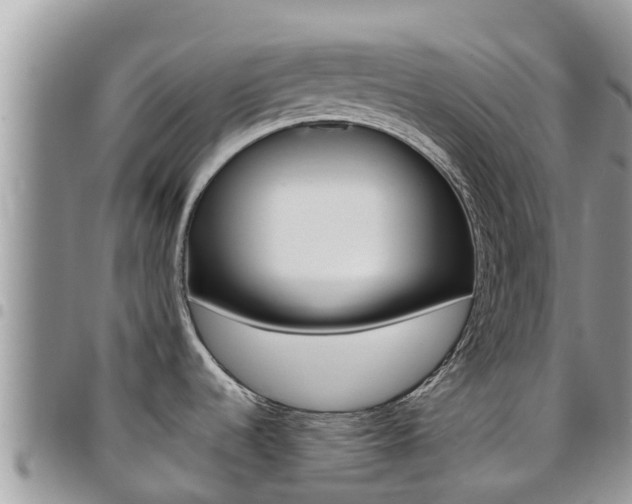 X0000096161536200801180840
