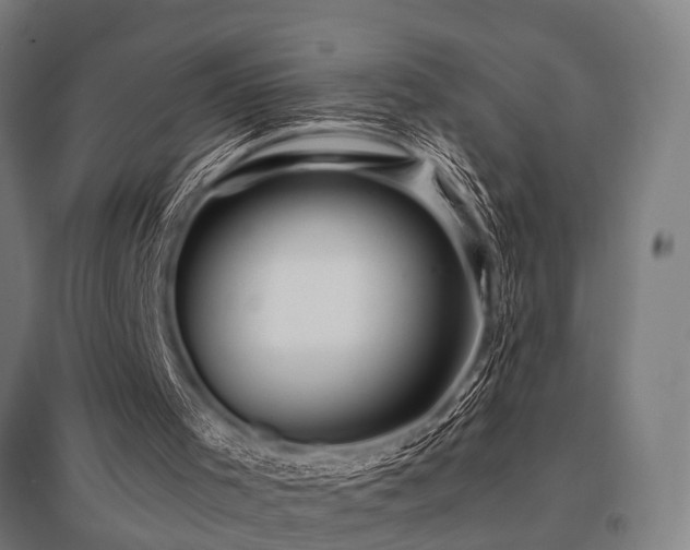 X0000096160001200801181235