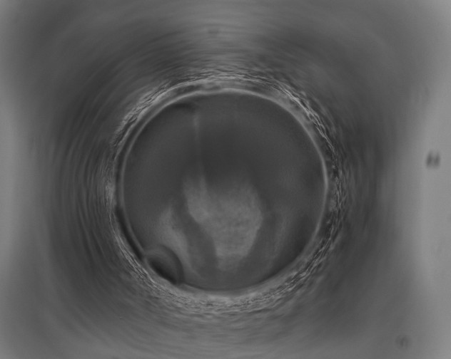 X0000096160002200801181235