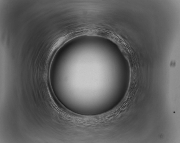 X0000096160003200801181235