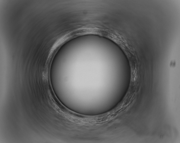 X0000096160004200801181235