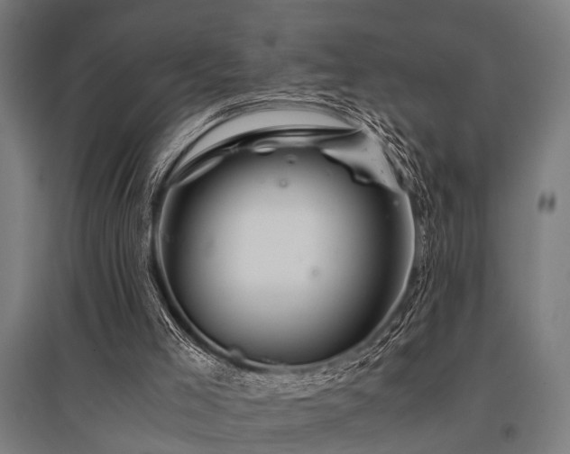X0000096160005200801181235