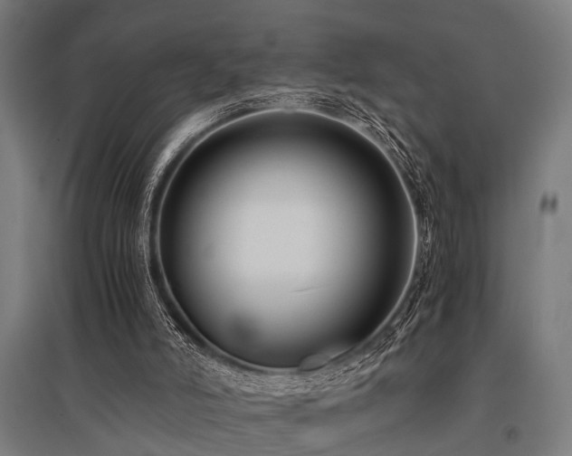 X0000096160006200801181235