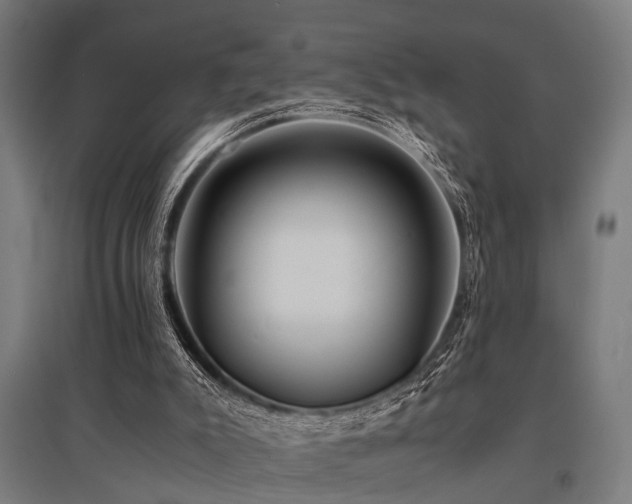 X0000096160007200801181235