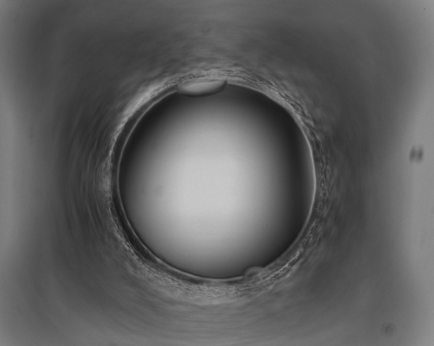 X0000096160008200801181235
