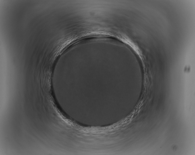 X0000096160009200801181235