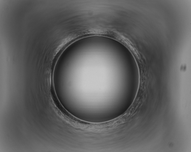 X0000096160011200801181235