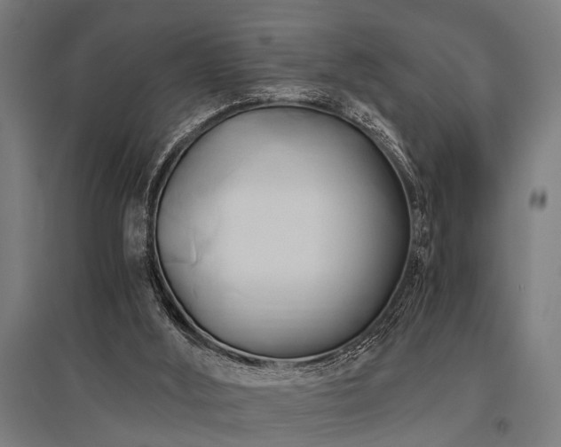X0000096160012200801181235