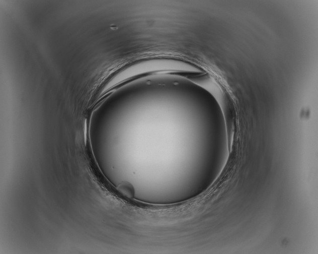 X0000096160013200801181235