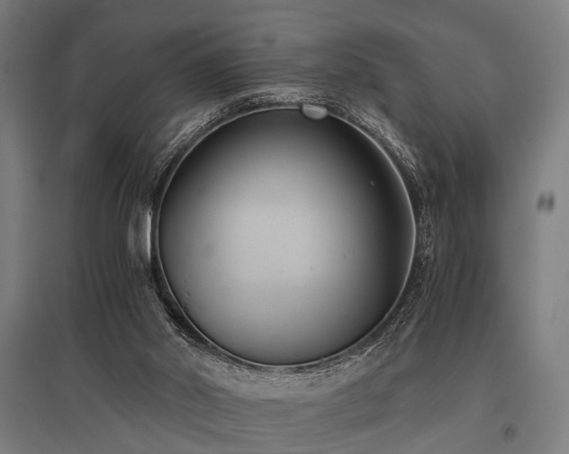 X0000096160014200801181235
