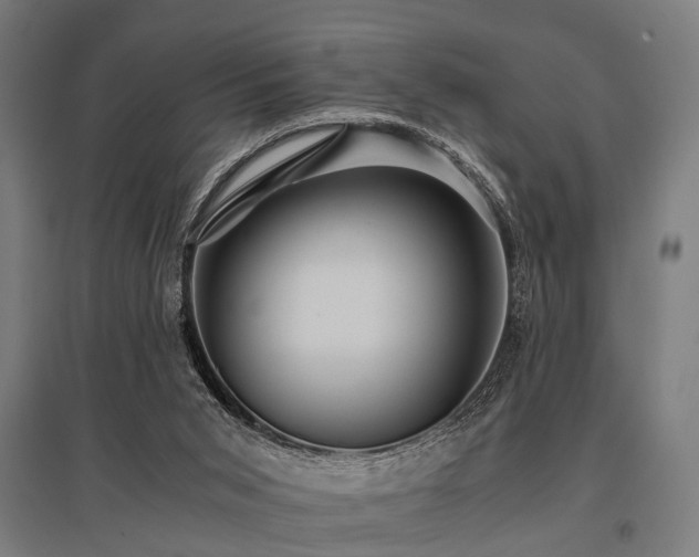 X0000096160015200801181235