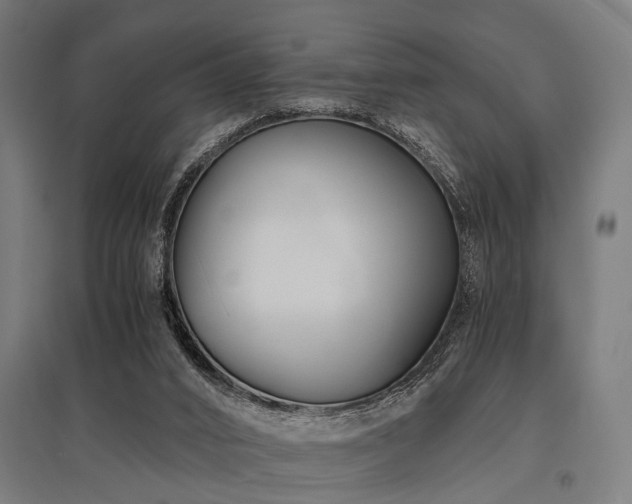 X0000096160016200801181235
