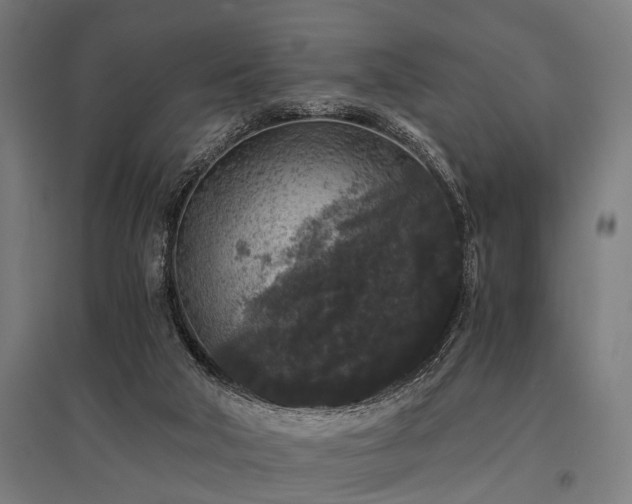 X0000096160018200801181234