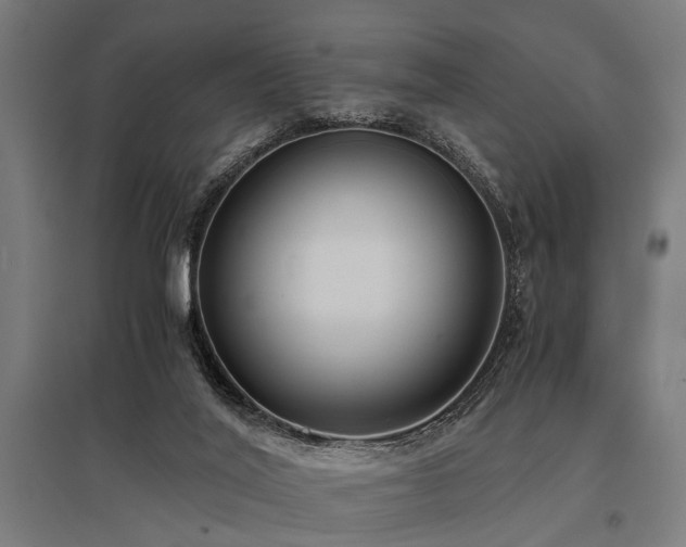 X0000096160020200801181234