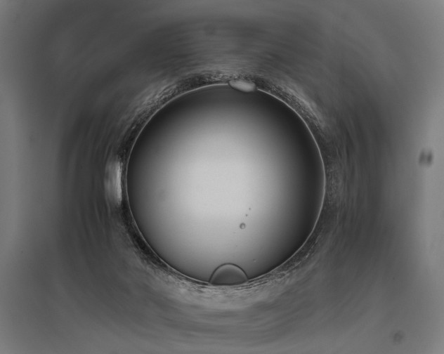 X0000096160022200801181234