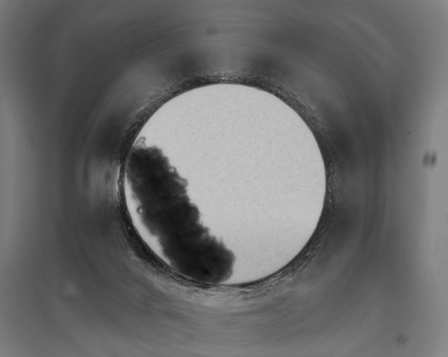 X0000096160024200801181234