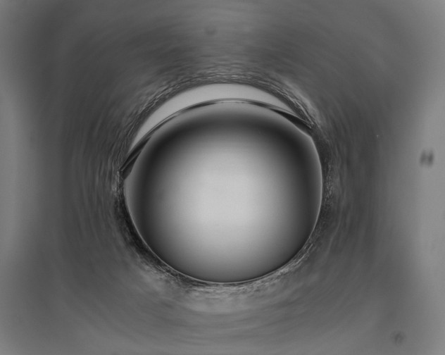 X0000096160025200801181234