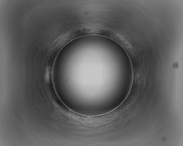 X0000096160026200801181234