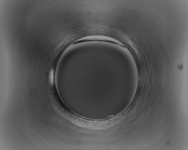 X0000096160027200801181234