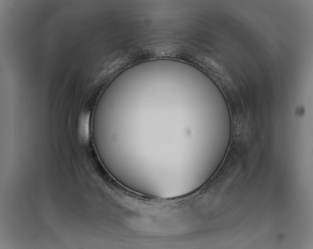 X0000096160028200801181234